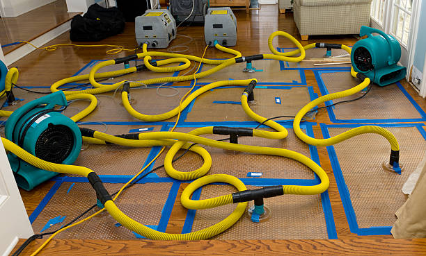 Professional Crawl Space Water Removal technician working in Mineola, NY